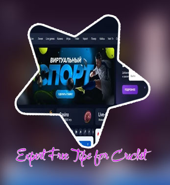 1win best prediction site